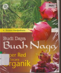 Image of BUDI DAYA BUAH NAGA SUPER RED SECARA ORGANIK