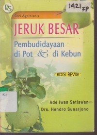 Image of JERUK BESAR PEMBUDIDAYAAN DI POT DAN DI KEBUN