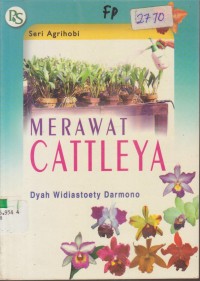 Image of MERAWAT CATTLEYA